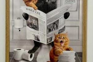 Мини-отель Chayka Home Hotel. Улучшенный трехместный студио 11